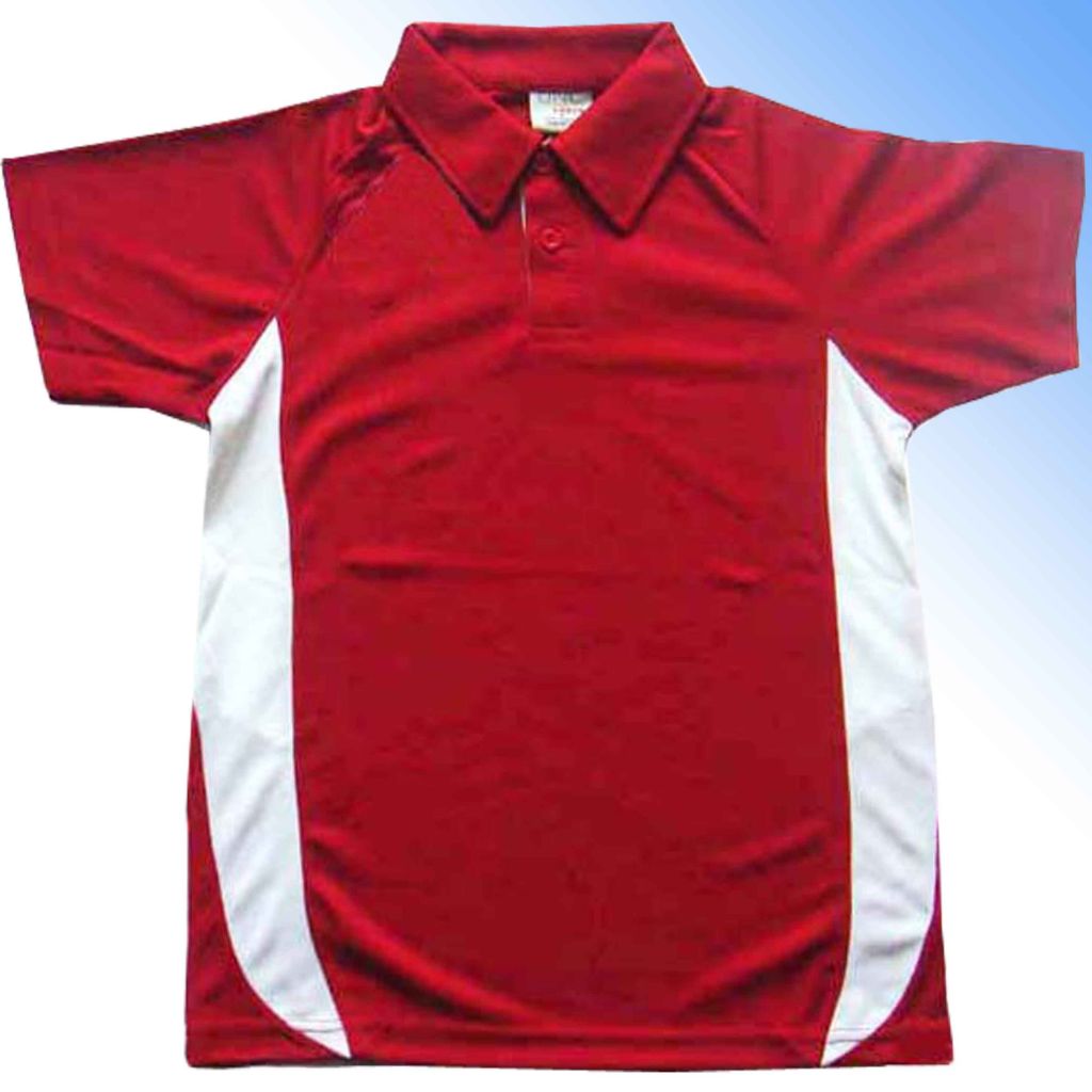 Men's Sport's Polo shirt 