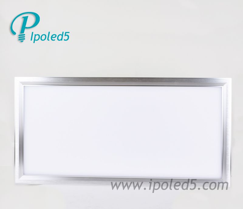 LED Panel Light 300*600