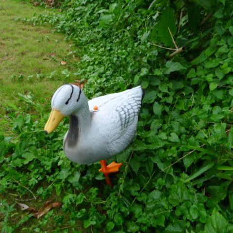 Farway  XPE foam hunting decoy of goose