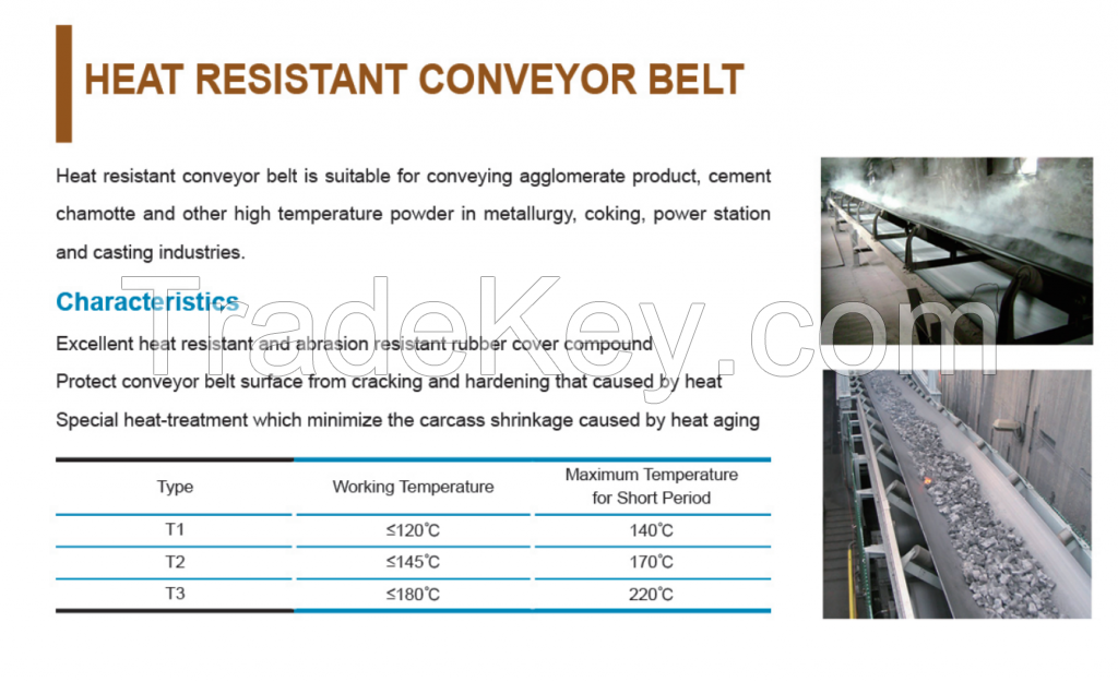 Heat & Cold Resistant Conveyor Belt