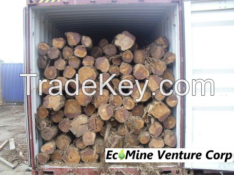 Brazilian logs, round or sawn