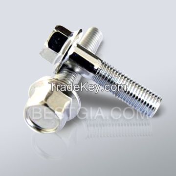 Hex Flange Bolts DIN6921