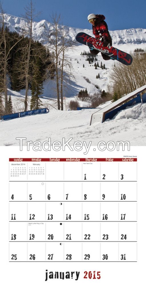 2015 new design wall calendar, 12 sheets