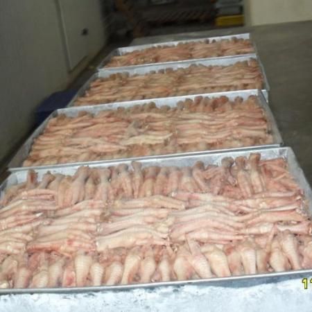 Frozen chicken feet Grade A