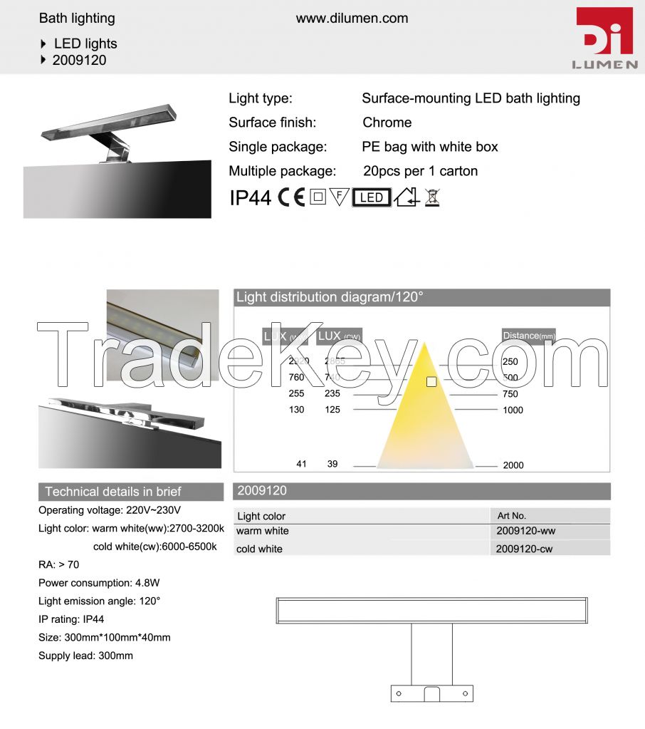 LED bathroom light