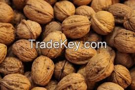 Walnuts | Peanuts | Cashew Nuts | Almond Nuts | Pistachios