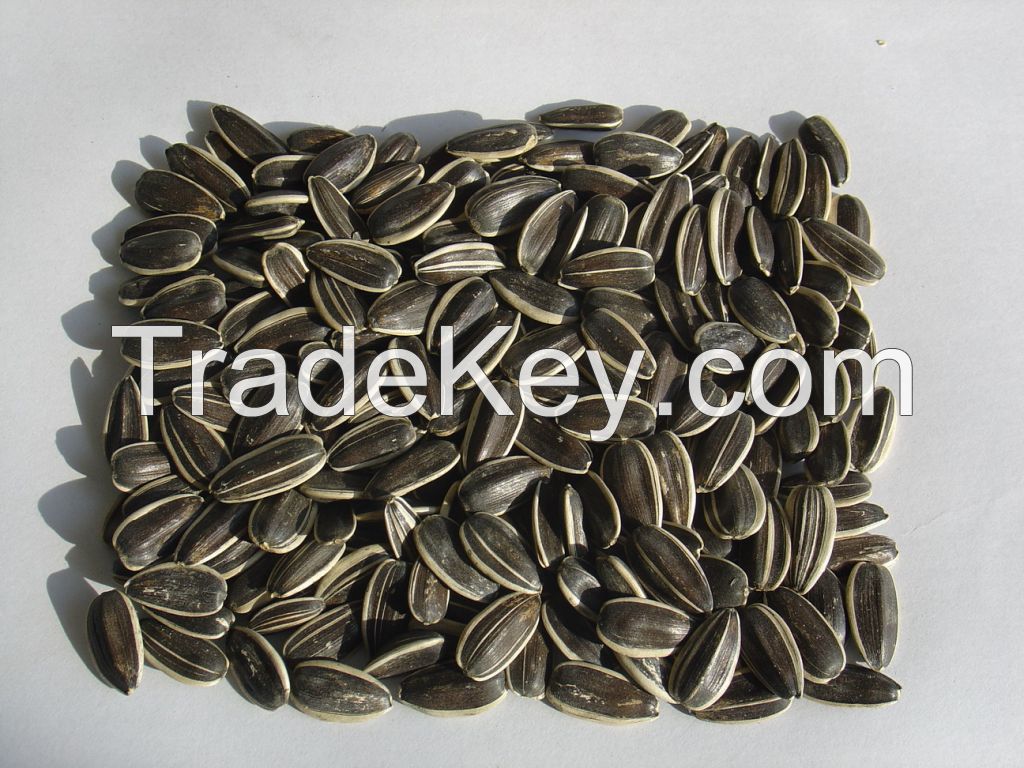 sunflower seeds