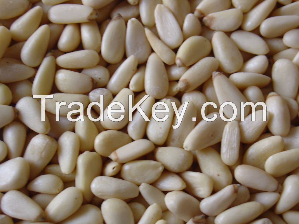 PINE NUT KERNELS