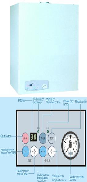 Wall hung gas boiler