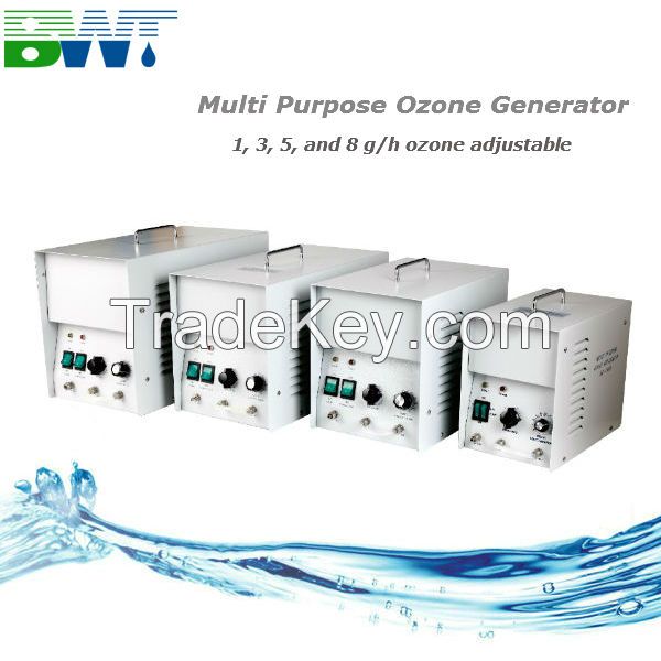 ozone water purification 1g/h  water treatment machine