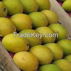 Fresh Mangoes