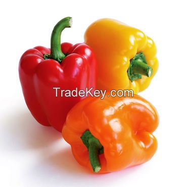 Bell Pepper