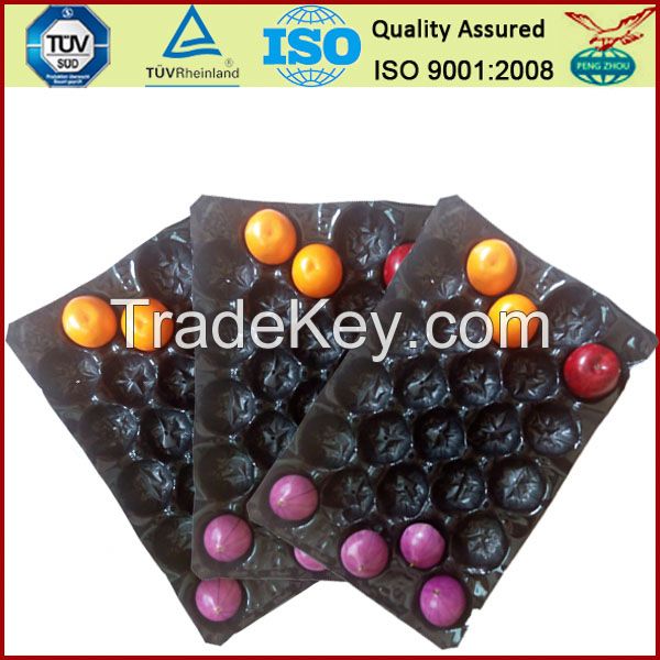 fruit  PP tray