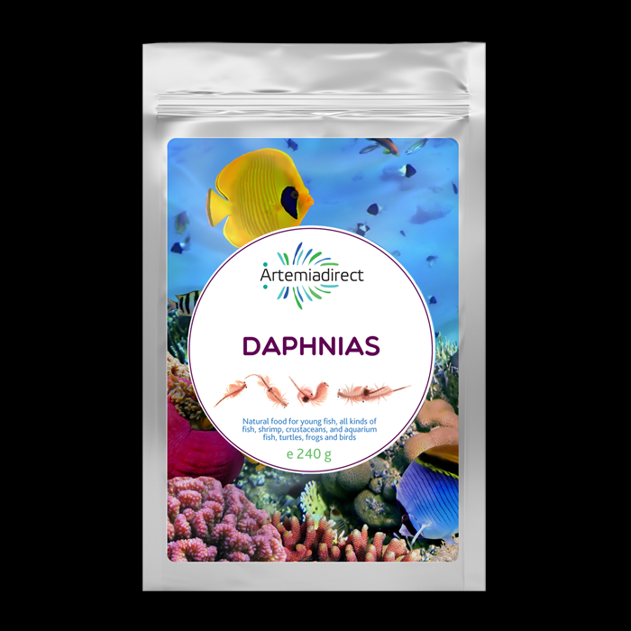 Daphnia