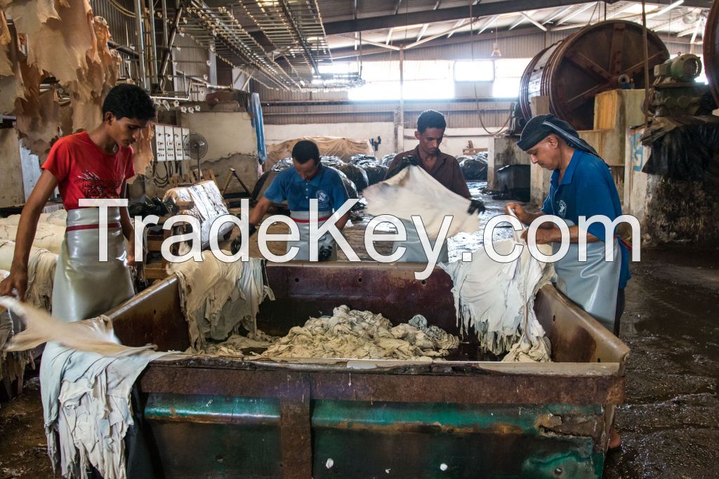 Pickled Yemeni white sheep skin leather