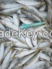 TUNA FISH, MACKEREL FISH, CRABS, LOBSTERS, BAMBOO SHOOTS