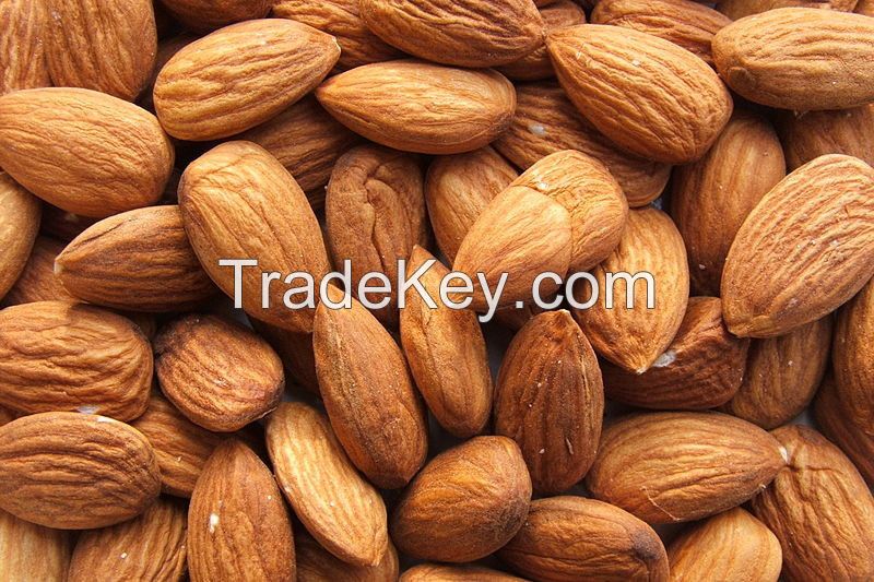 Raw Almond Nuts &amp;amp; Kernels, Hazelnuts