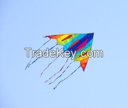 Kite