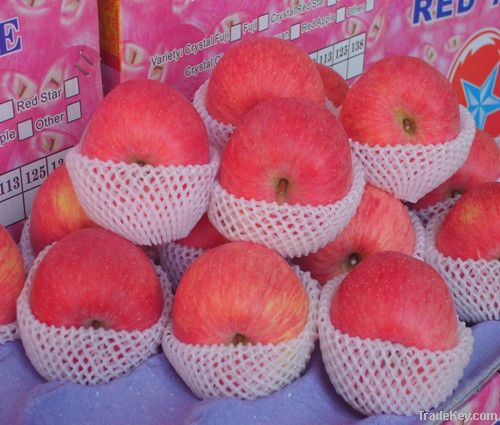 Quality Fresh Apple