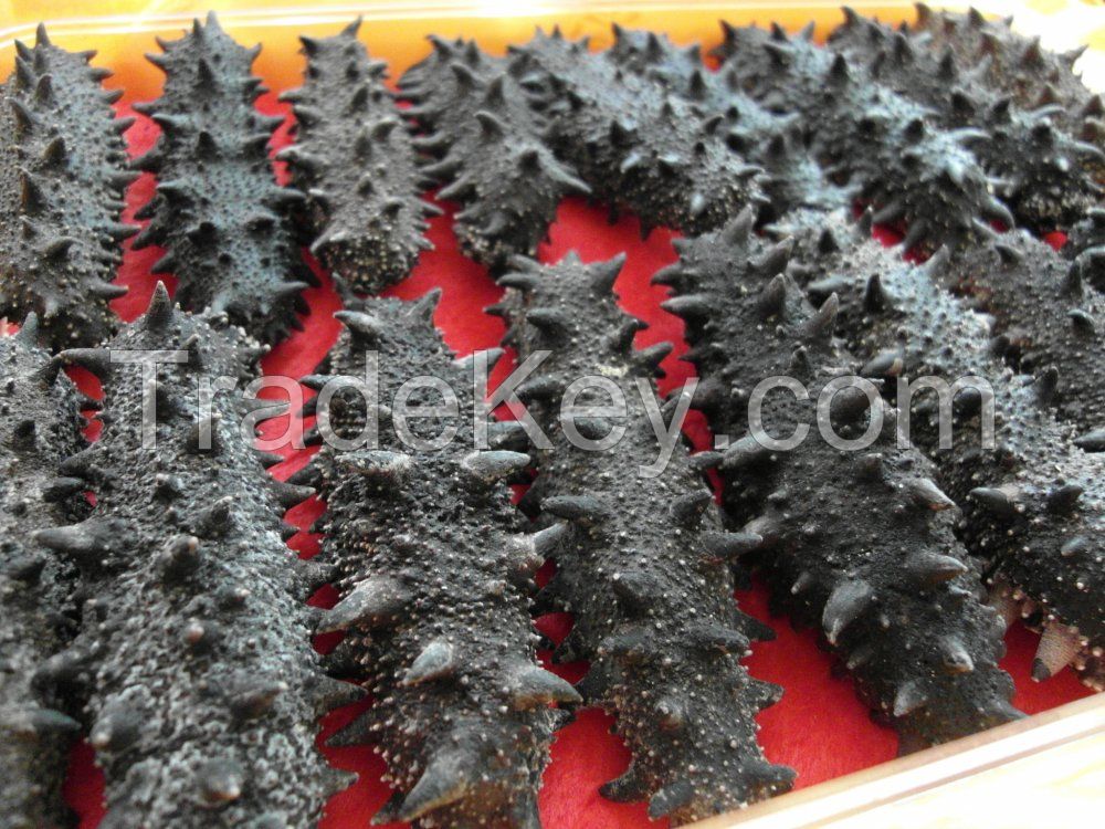  Dry sea cucumber