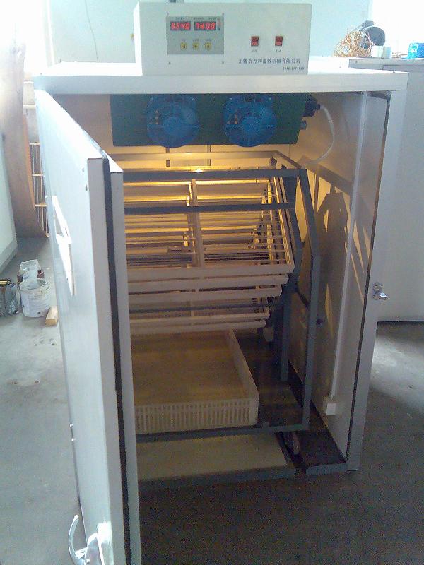 Egg Incubator