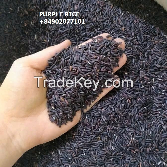 Purple Brown Rice