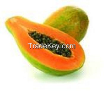 papaya