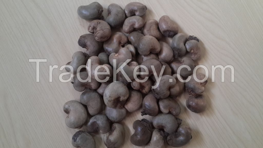 Raw Cashew Nut