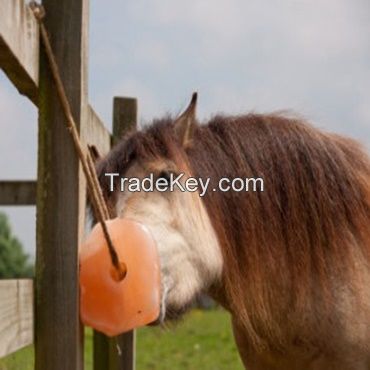 HORSE SALT LICKS