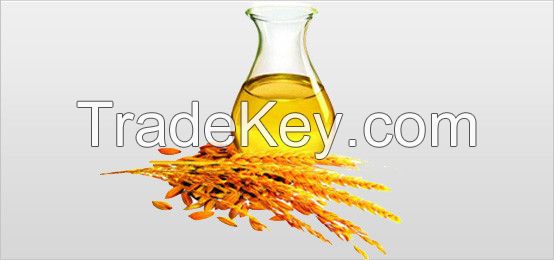 Rice Bran Oil 