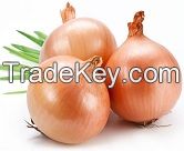 Fresh Onions