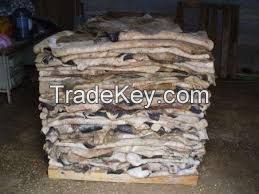 Wet salted STEER hides -