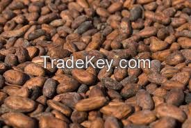 Cocoa Beans