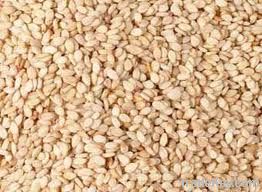 Natural Sesame Seed