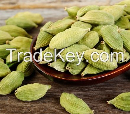 Cardamom Oil