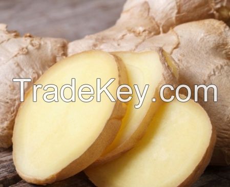 Ginger Oleoresin