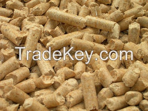 Wood pellet DIN+