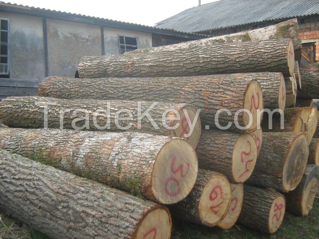 Beech, Ash, Oak logs