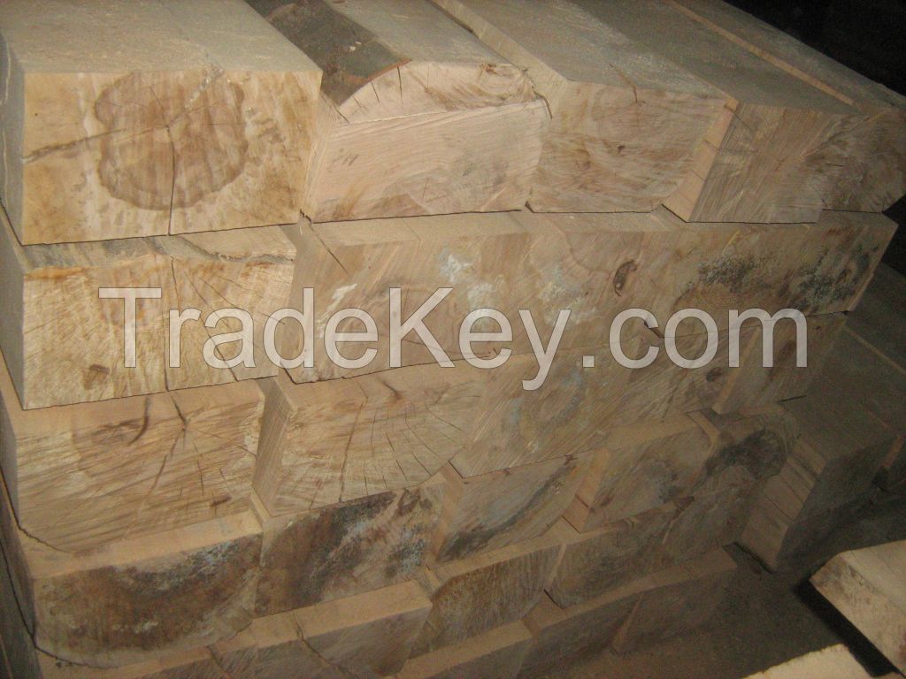 railway sleepers fresh-new