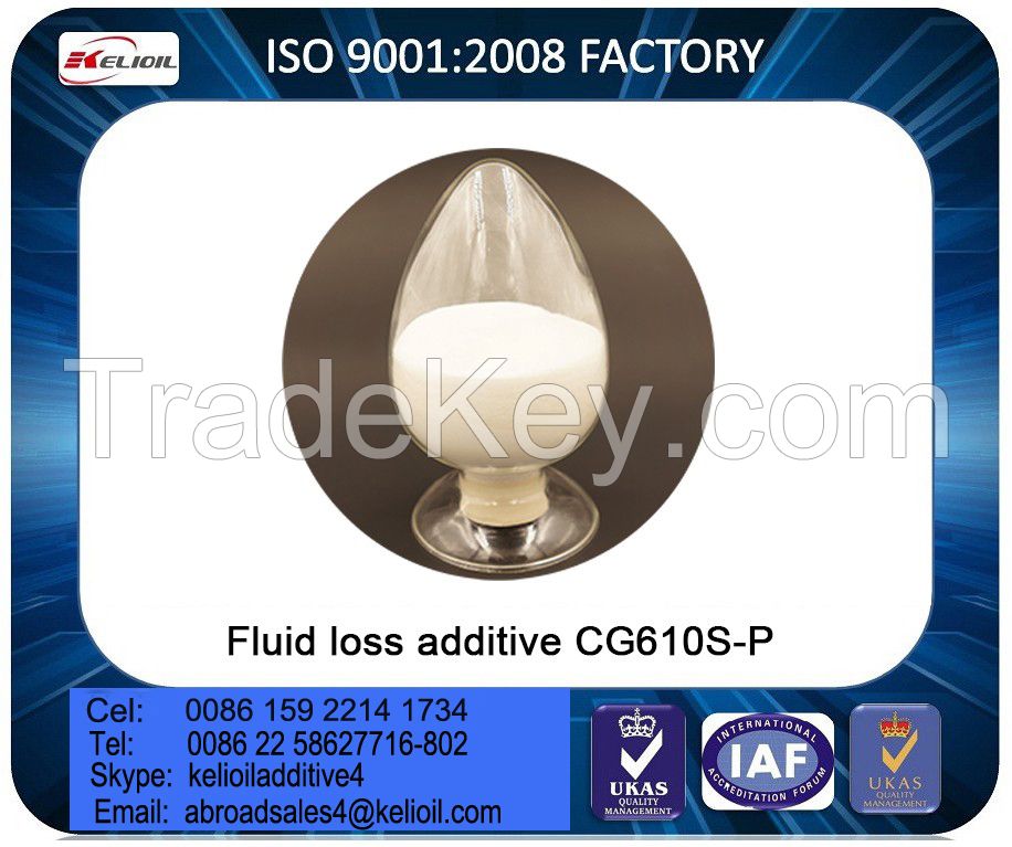 Fluid Loss Control Additives