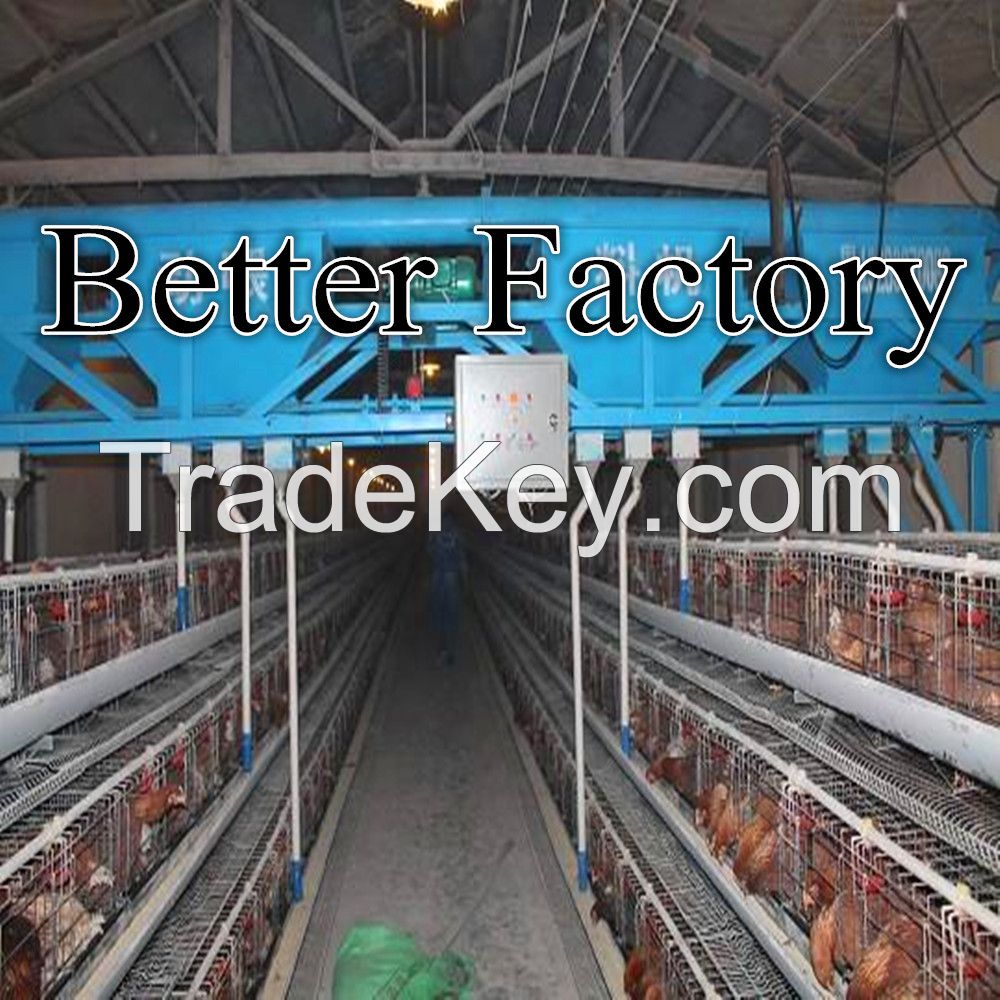 hot-sale good quality poultry farm layer chicken cage