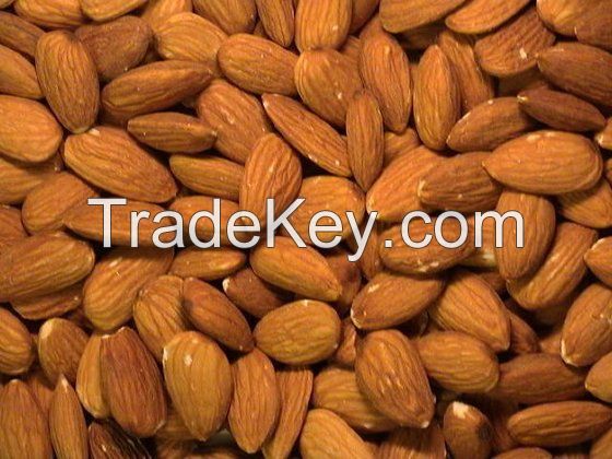 Almond Nuts