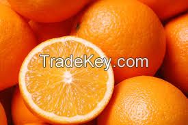 Fresh Valencia Oranges