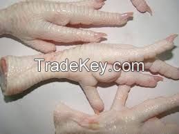 FROZEN HALAL CHICKEN FEET