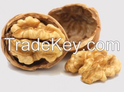 2017 new crop light color walnut kernels