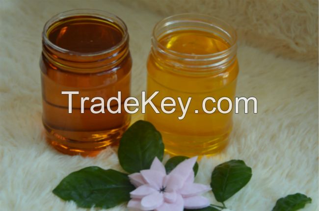 Organic Camellia Oil