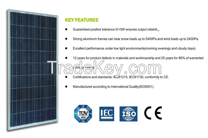 Shine Solar 145W 12V Poly Solar Module