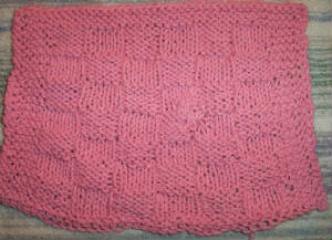 CHECKERED WASHCLOTH