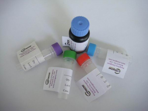 ELISA KIT, ANTIBODY