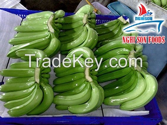 FRESH CAVENDISH BANANA (+84342828779)